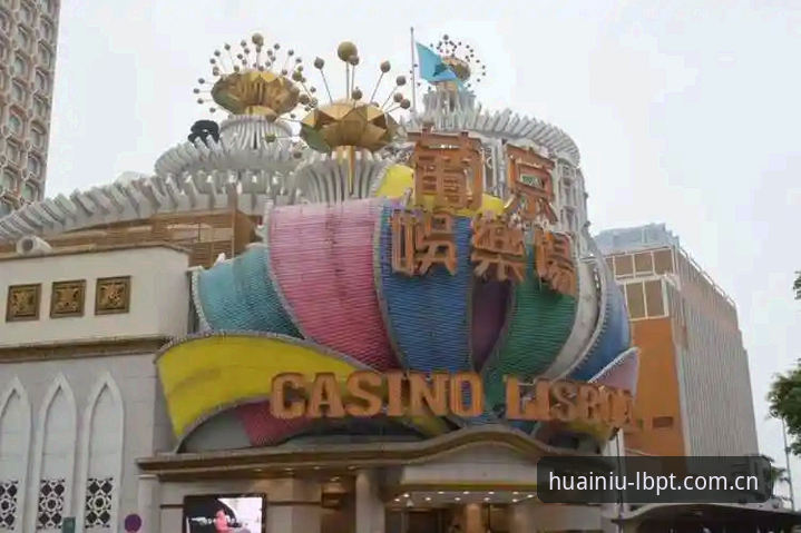 新葡京娱乐平台实用指南：新葡萄8883安卓版操作技巧与进阶玩法